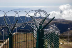 Ceuta Inmigracion Irregular Y Articulo 318 Bis Del Codigo Penal